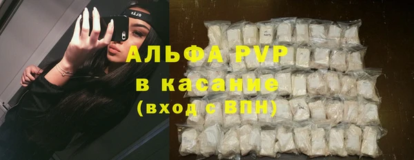 PSILOCYBIN Бронницы