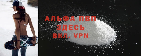 прущие грибы Магас