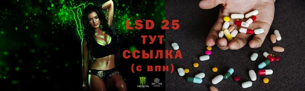 гашик Новый Уренгой