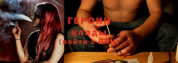 прущие грибы Бородино