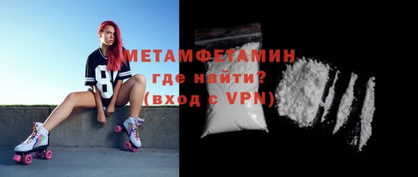 прущие грибы Бородино