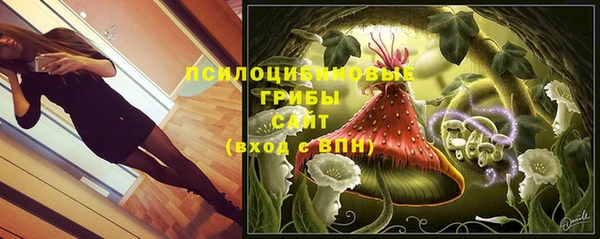 прущие грибы Магас