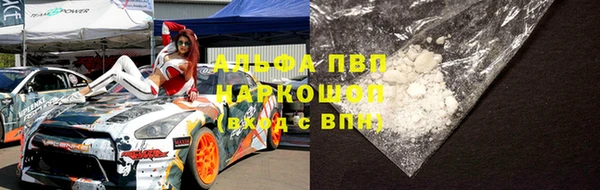 прущие грибы Бородино